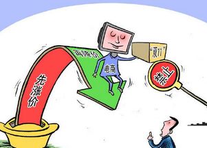 真誠致遠 電商行業(yè)需以服務(wù)為本，回歸銷售與維護的本質(zhì)